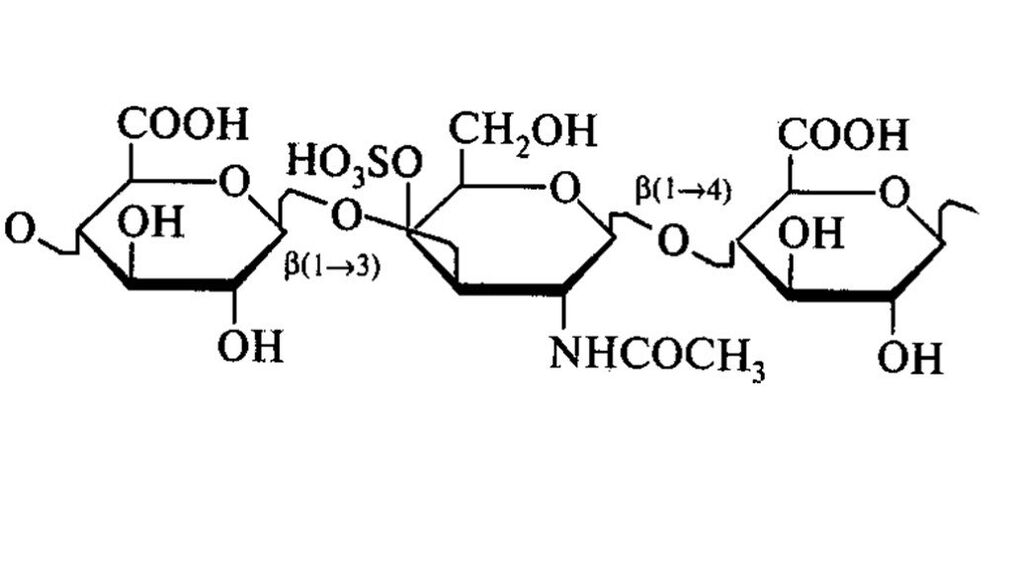 Chondroitin an OstyHealth