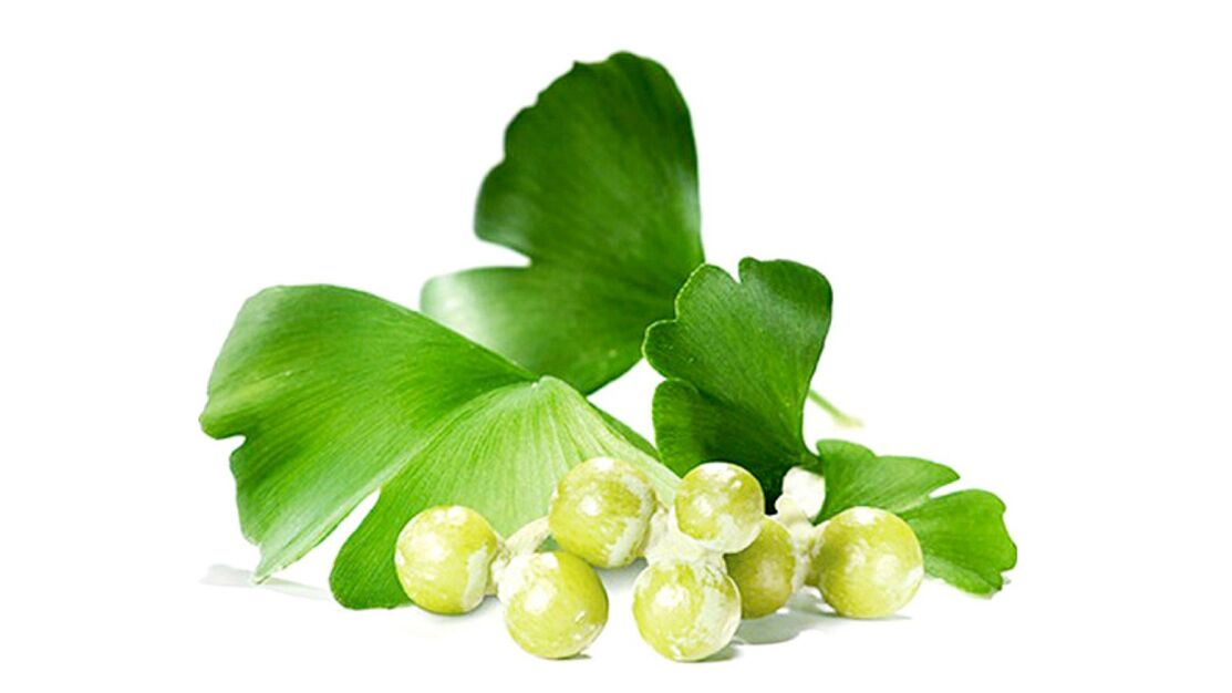 Ginkgo Bilobe an OstyHealth