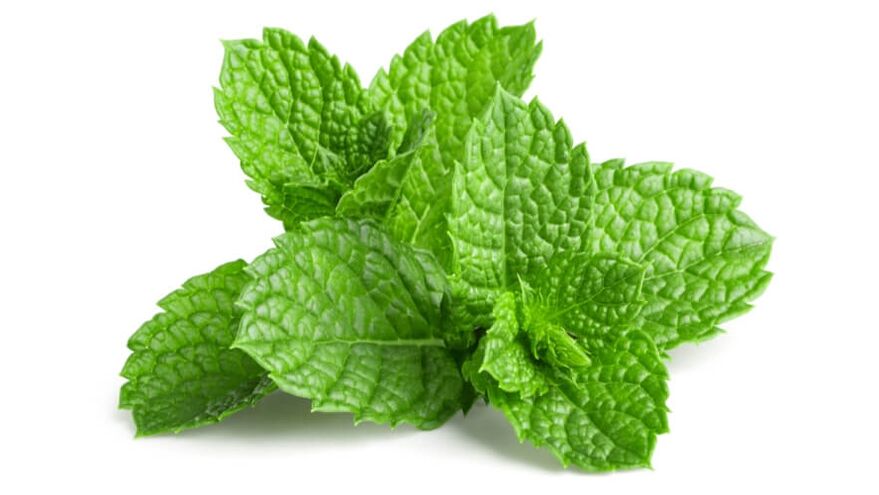 Menthol zu OstyHealth
